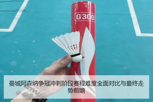 曼城阿森纳争冠冲刺阶段赛程难度全面对比与最终走势前瞻
