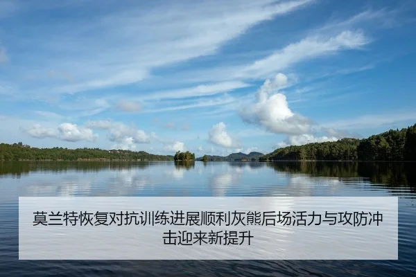 莫兰特恢复对抗训练进展顺利灰熊后场活力与攻防冲击迎来新提升