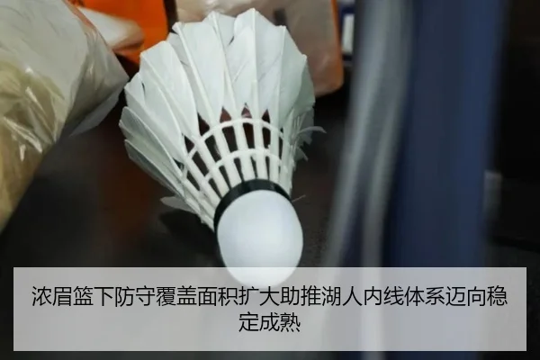 浓眉篮下防守覆盖面积扩大助推湖人内线体系迈向稳定成熟